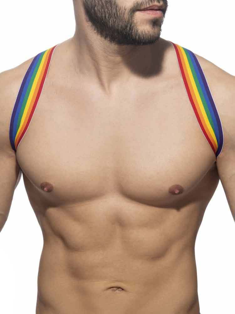 ADDICTED Rainbow Oberkörperharness