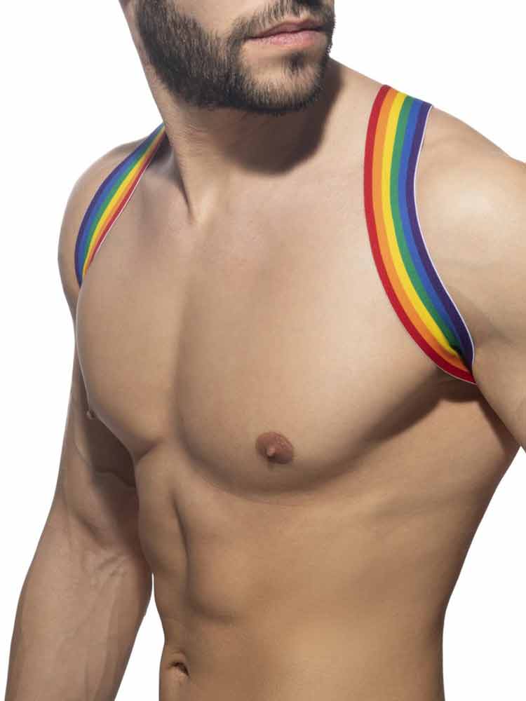 ADDICTED Rainbow Oberkörperharness