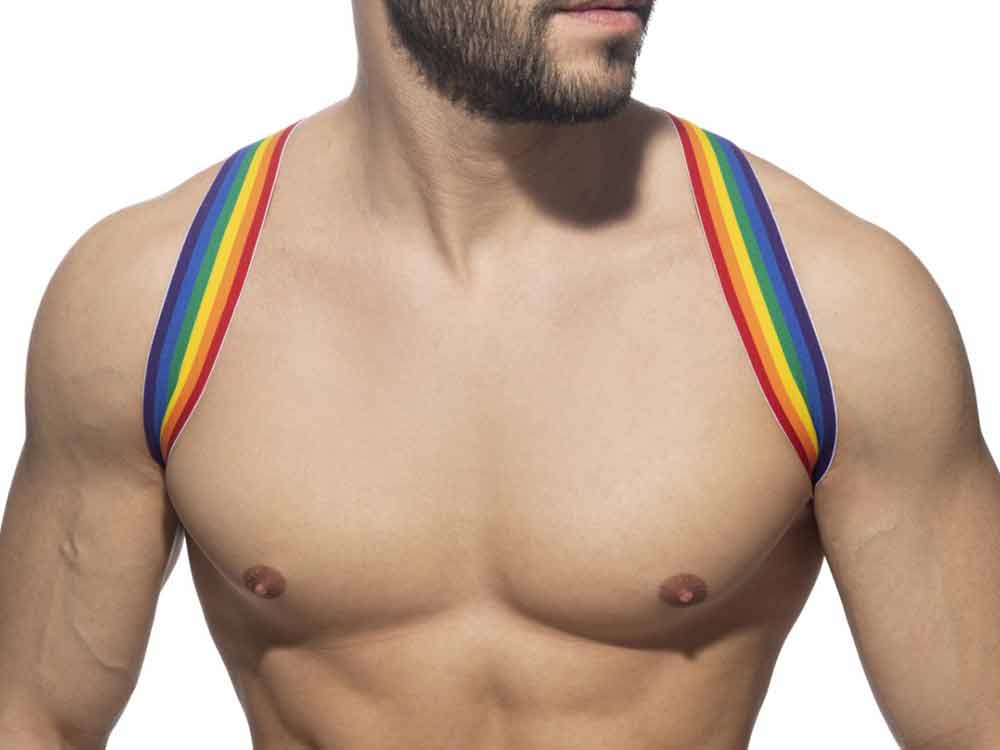 ADDICTED Rainbow Oberkörperharness