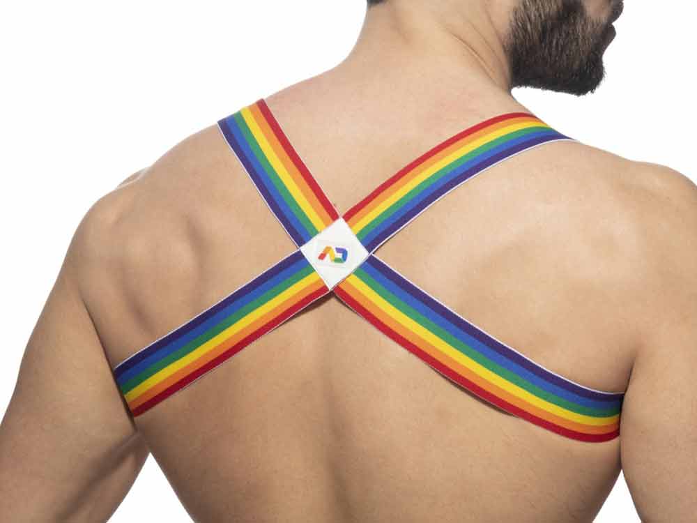 ADDICTED Rainbow Oberkörperharness
