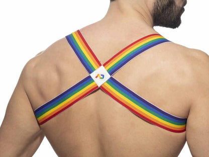 ADDICTED Rainbow Oberkörperharness