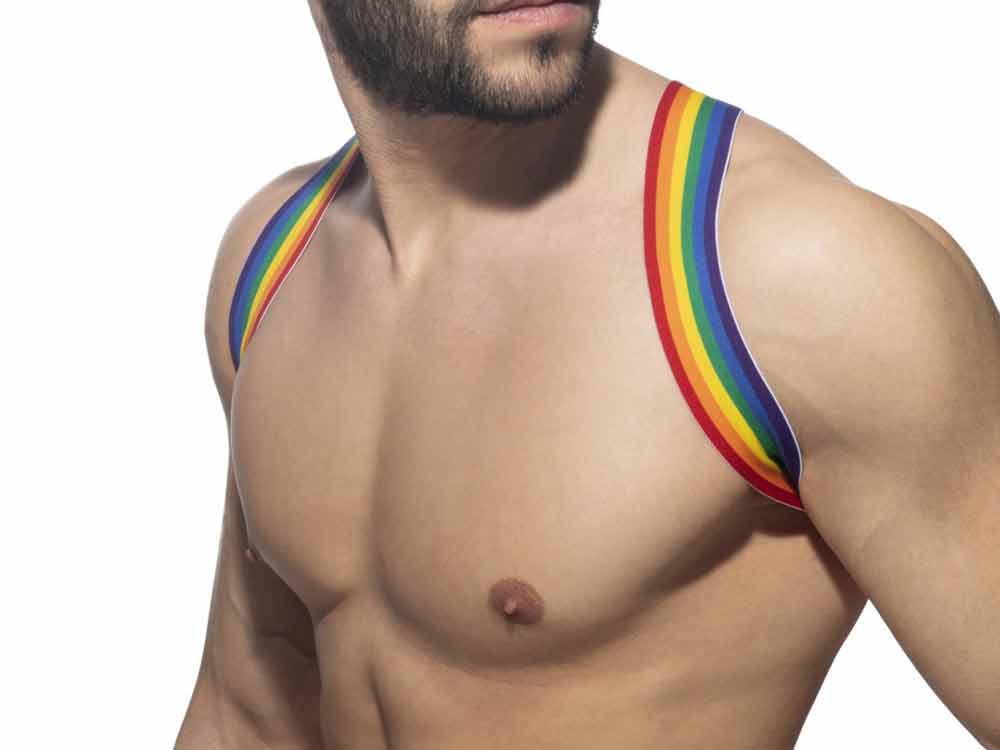 ADDICTED Rainbow Oberkörperharness