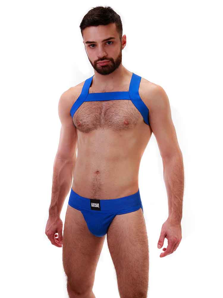 Barcode Harness MATT - blau