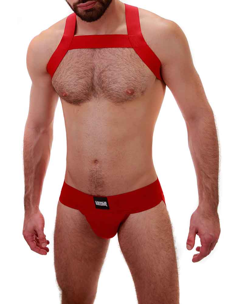 Barcode Harness MATT - rot