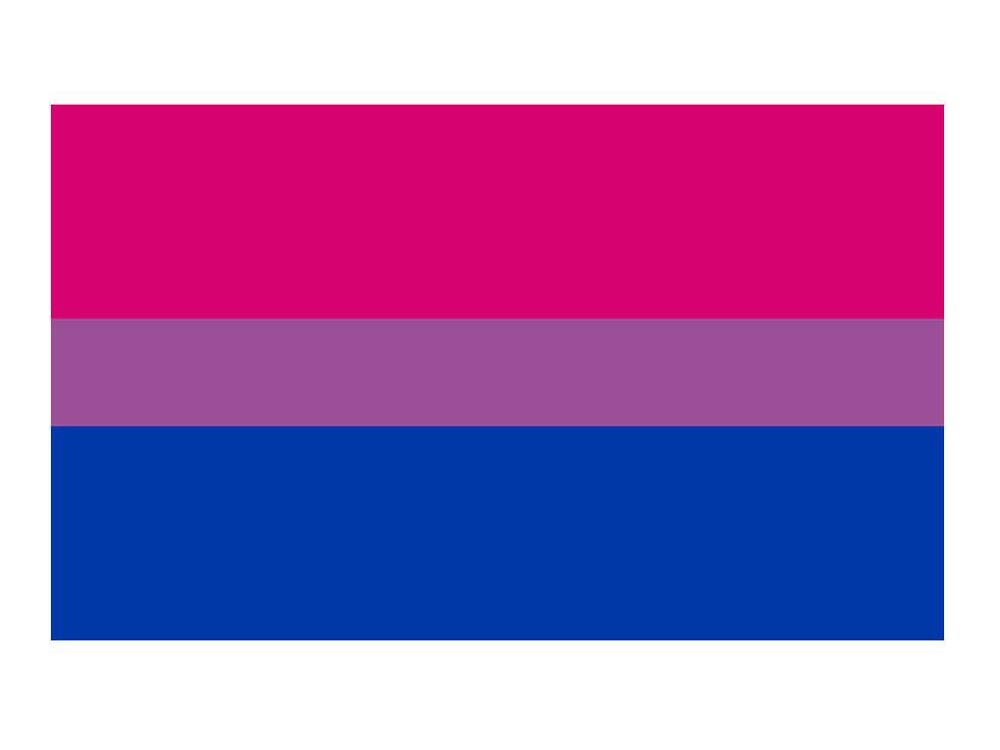 Bisexuell Flagge 90x150cm