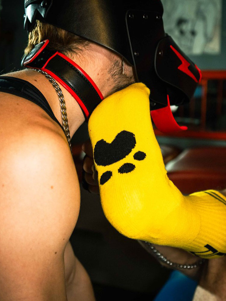 BOXER Skater Socks PUP gelb-schwarz