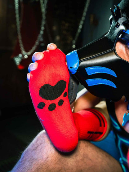 BOXER Skater Socks PUP rot-schwarz