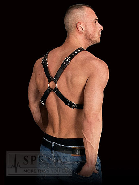 Brust-Harness ADONIS - Kreuzharness