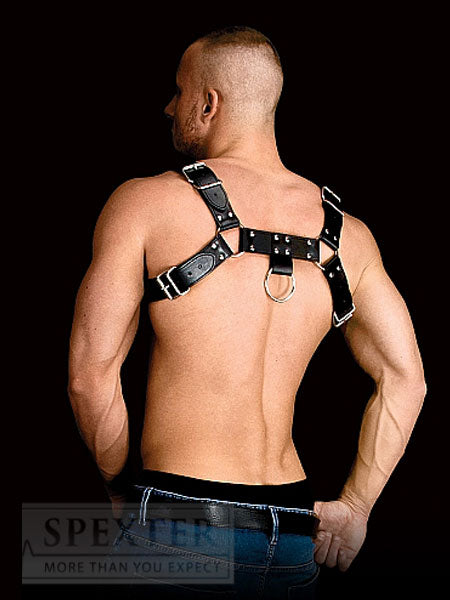 Brust-Harness COSTAS - Bulldogharness