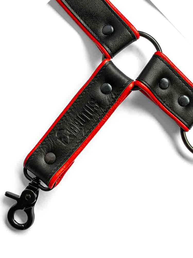 BRUTUS Leg Harness schwarz-rot