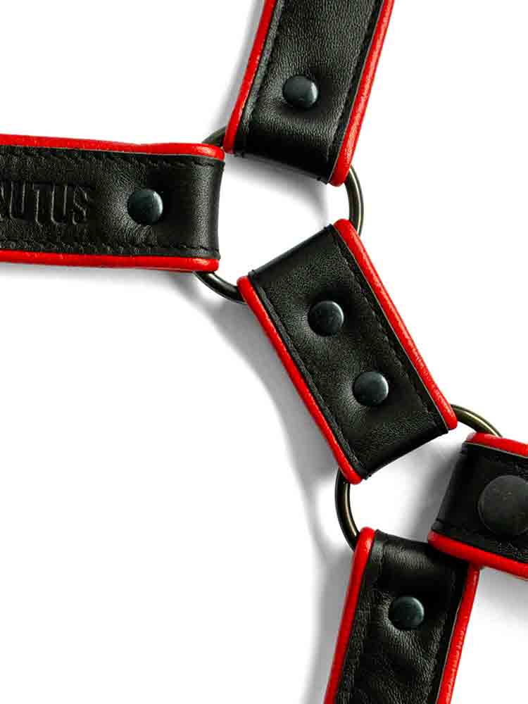 BRUTUS Leg Harness schwarz-rot