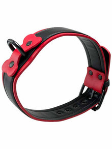 BRUTUS Puppy Hunde-Halsband schwarz-rot