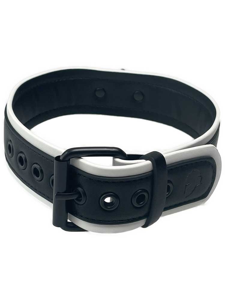 BRUTUS Puppy Hunde-Halsband schwarz-weiss