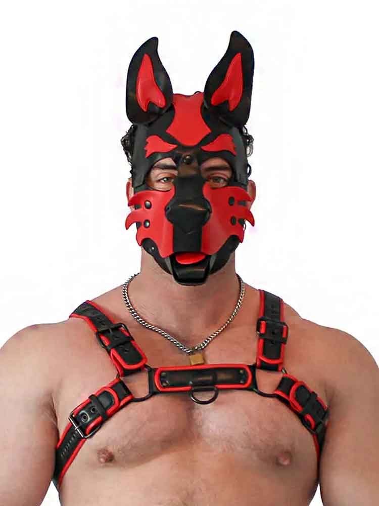 BRUTUS Pup Hood Veganleder rot-schwarz