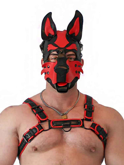 BRUTUS Pup Hood Veganleder rot-schwarz