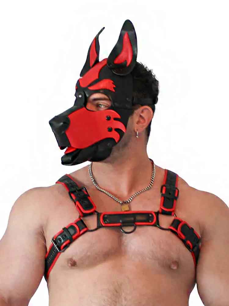 BRUTUS Pup Hood Veganleder rot-schwarz