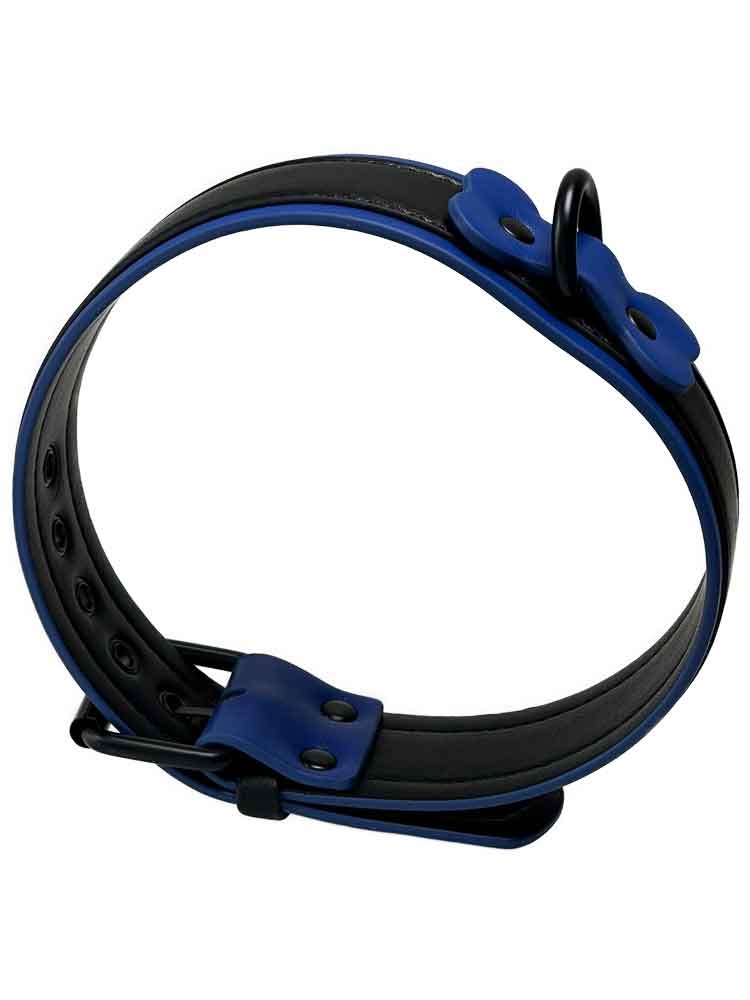 BRUTUS Puppy Hunde-Halsband schwarz-blau