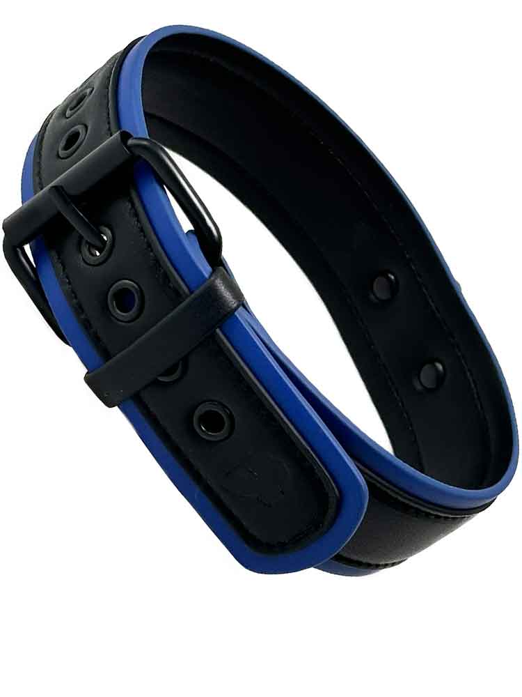 BRUTUS Puppy Hunde-Halsband schwarz-blau