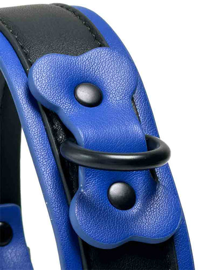 BRUTUS Puppy Hunde-Halsband schwarz-blau