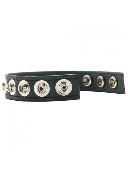 Leder-Cockring 5 Druckknöpfe