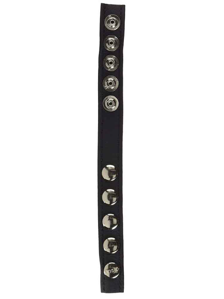 Leder-Cockring 5 Druckknöpfe