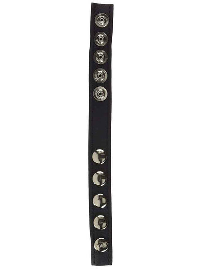 Leder-Cockring 5 Druckknöpfe