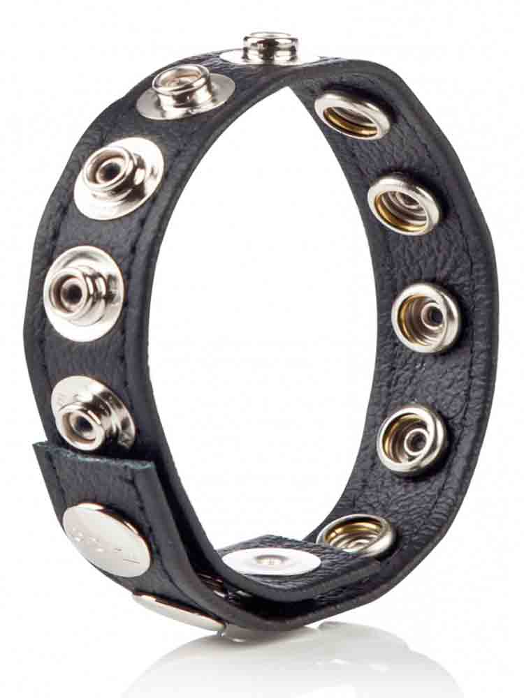 Leder-Cockring 8 Druckknöpfe