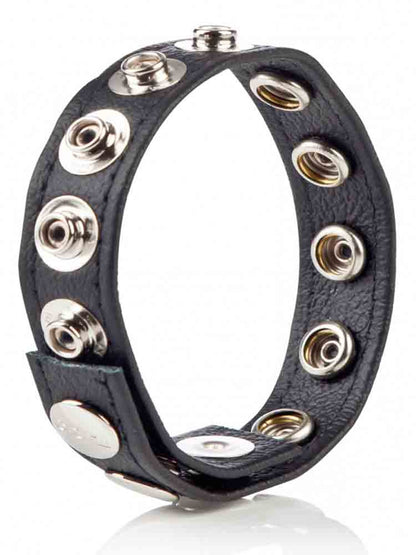 Leder-Cockring 8 Druckknöpfe