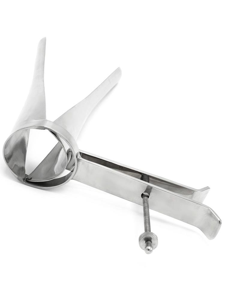 Edelstahl Spekulum large 20cm