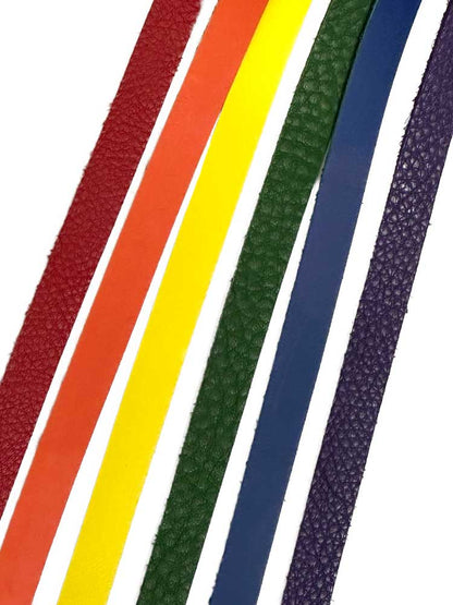 Flogger 24 Riemen 55cm Rind LGBTQ PRIDE-FARBEN