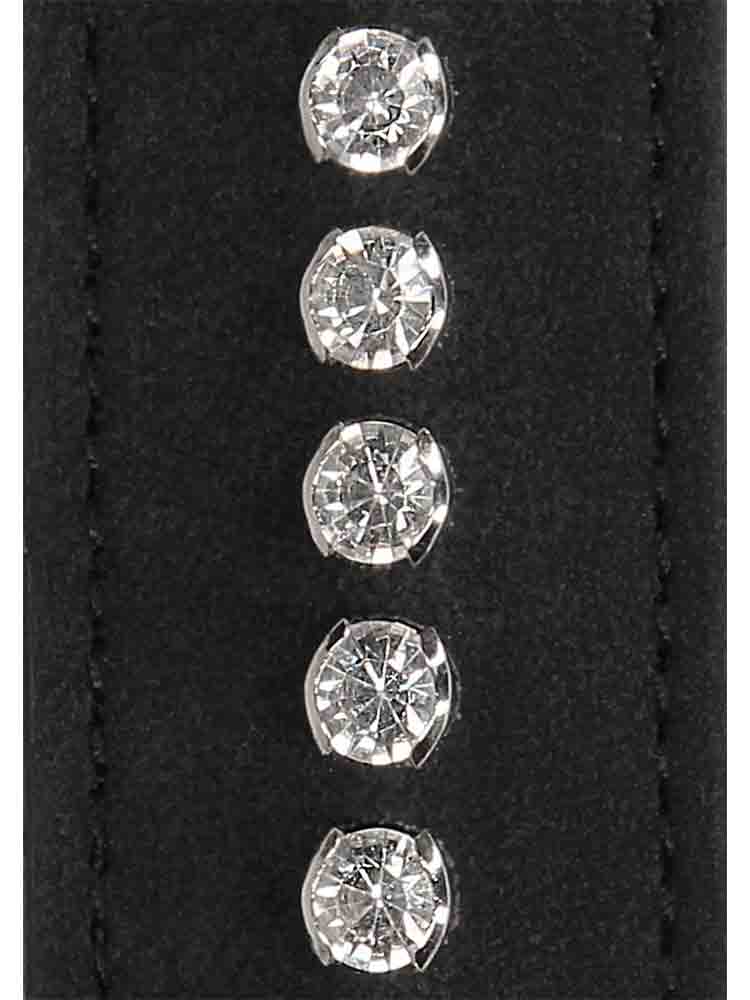 Führungskette mit Diamanten-Handschlaufe