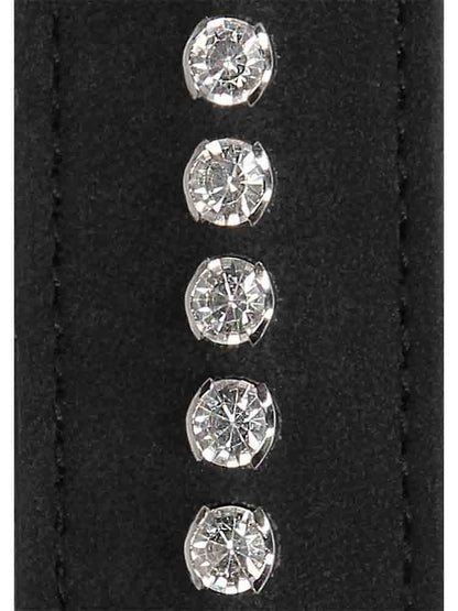 Führungskette mit Diamanten-Handschlaufe