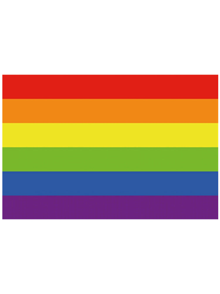 Gay Pride Regenbogen Aufkleber 8x12cm