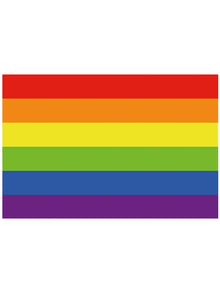 Gay Pride Regenbogen Aufkleber 8x12cm