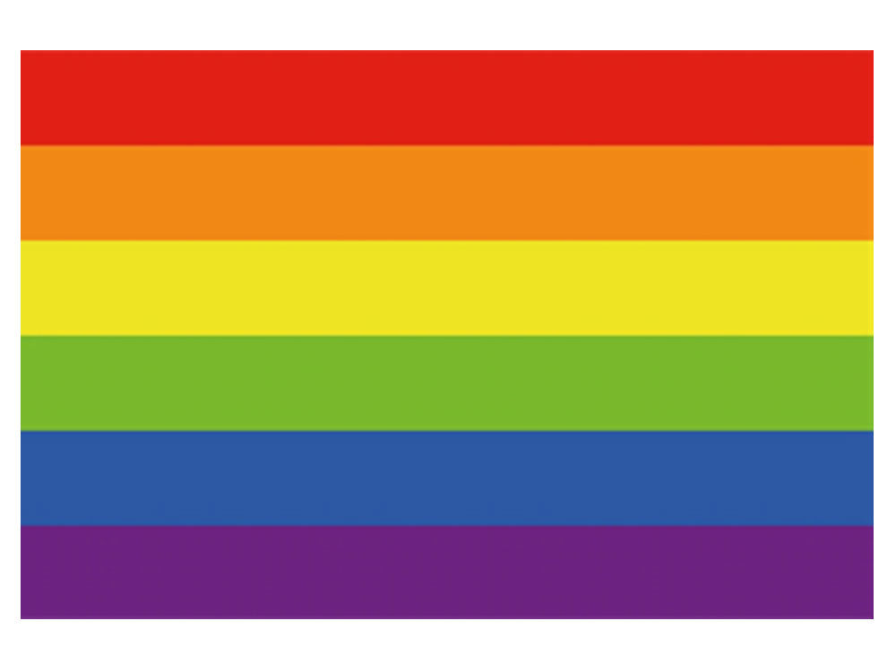 Gay Pride Regenbogen Aufkleber 8x12cm