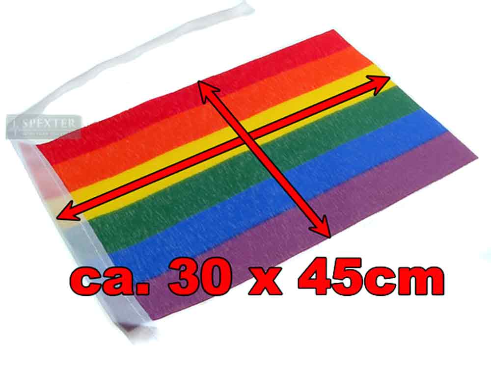 Gay Pride Regenbogen Flaggenkette 30x45cm