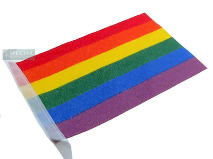 Gay Pride Regenbogen Flaggenkette 30x45cm