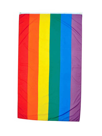 Gay Pride Regenbogen Flagge 50x80cm