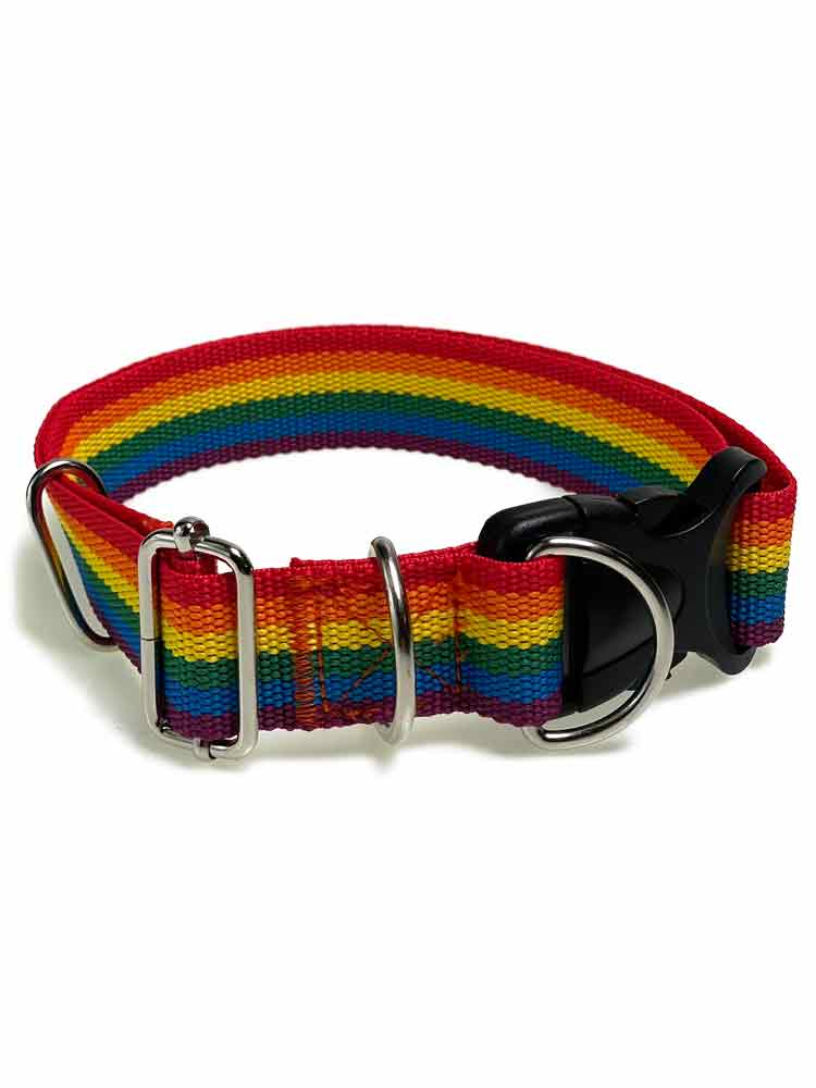 Regenbogen Puppy Hunde-Halsband