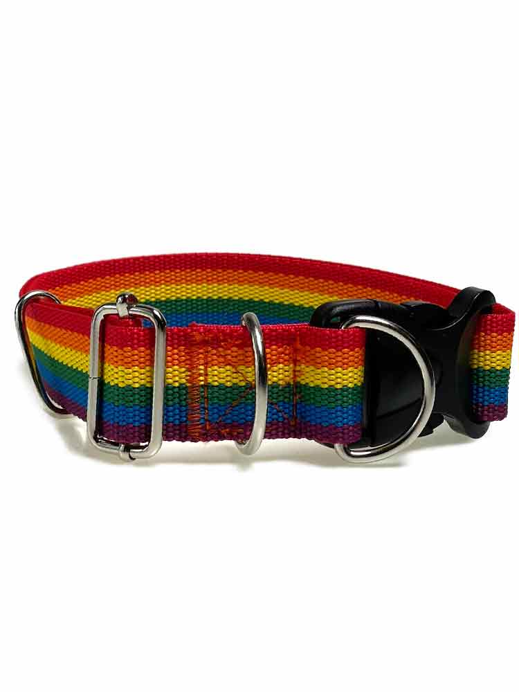 Regenbogen Puppy Hunde-Halsband