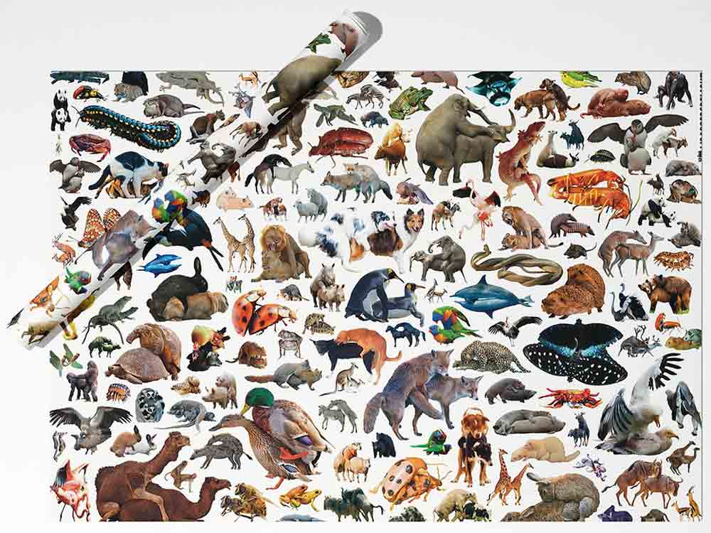Geschenkpapier 70x50cm ARCHE NOAH