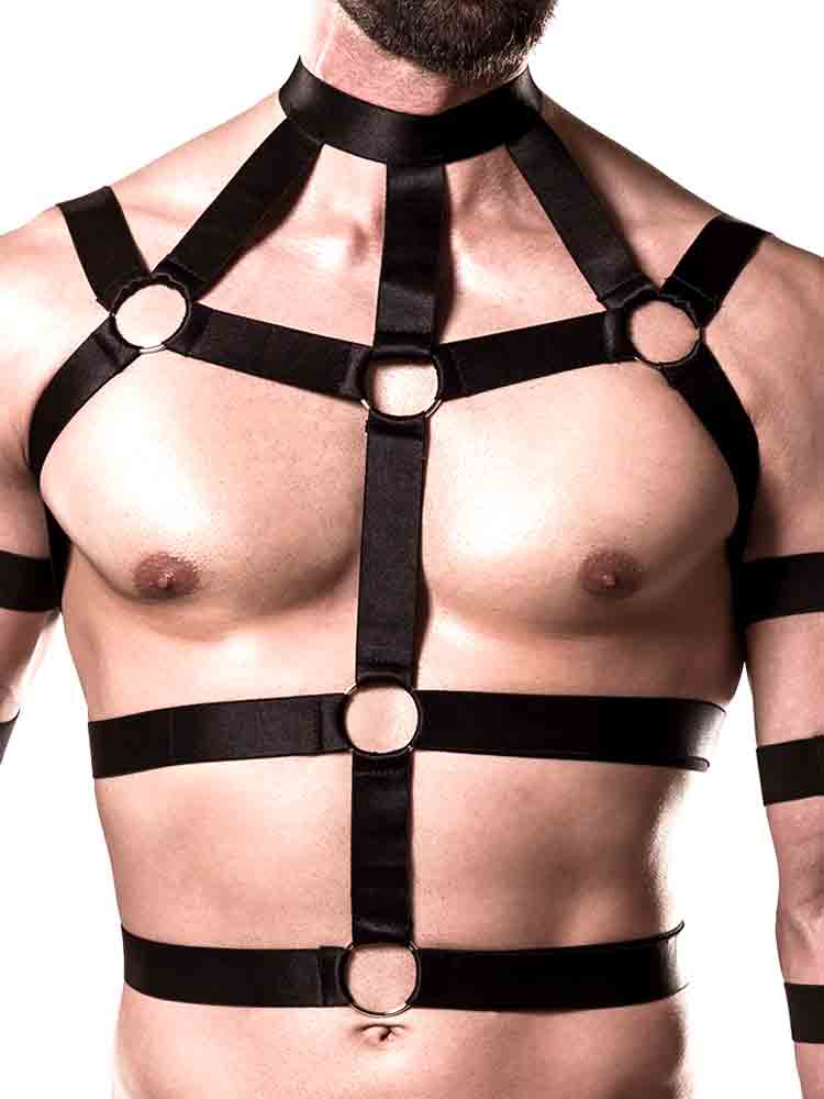 GREY VELVET MEN 4-teiliges Harness Set