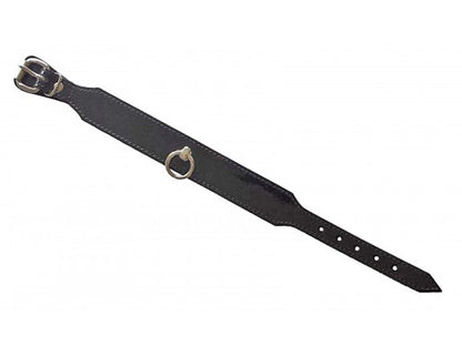 Lack-Leder-Halsband, konisch
