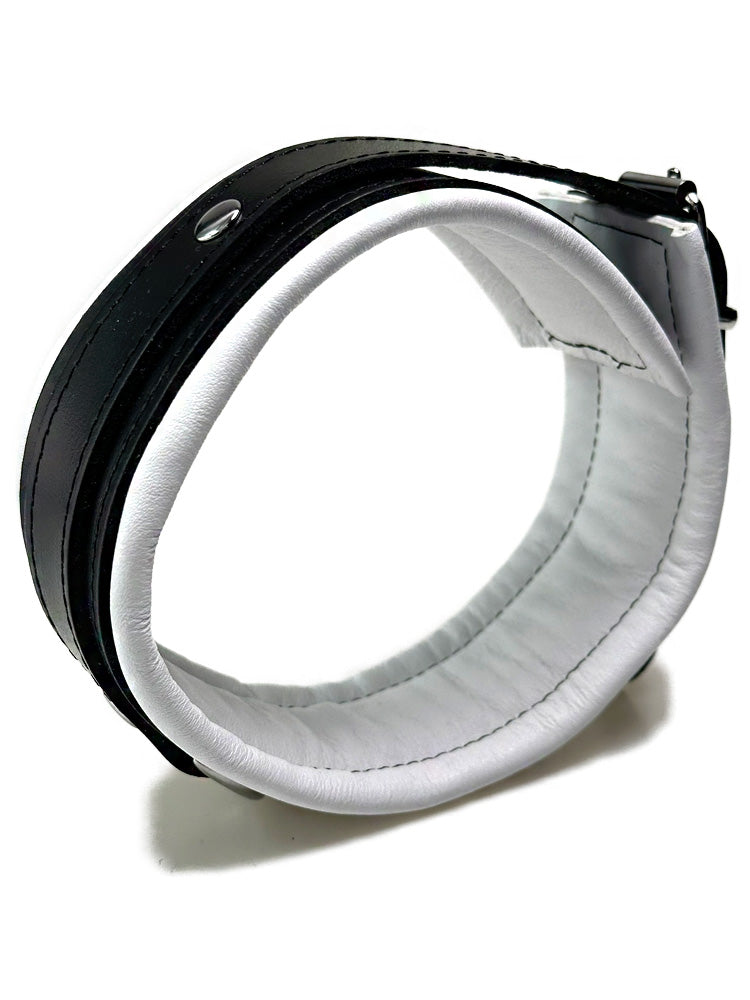 Leder-Halsband, schwarzer Riemen, weiß gepolstert 5cm