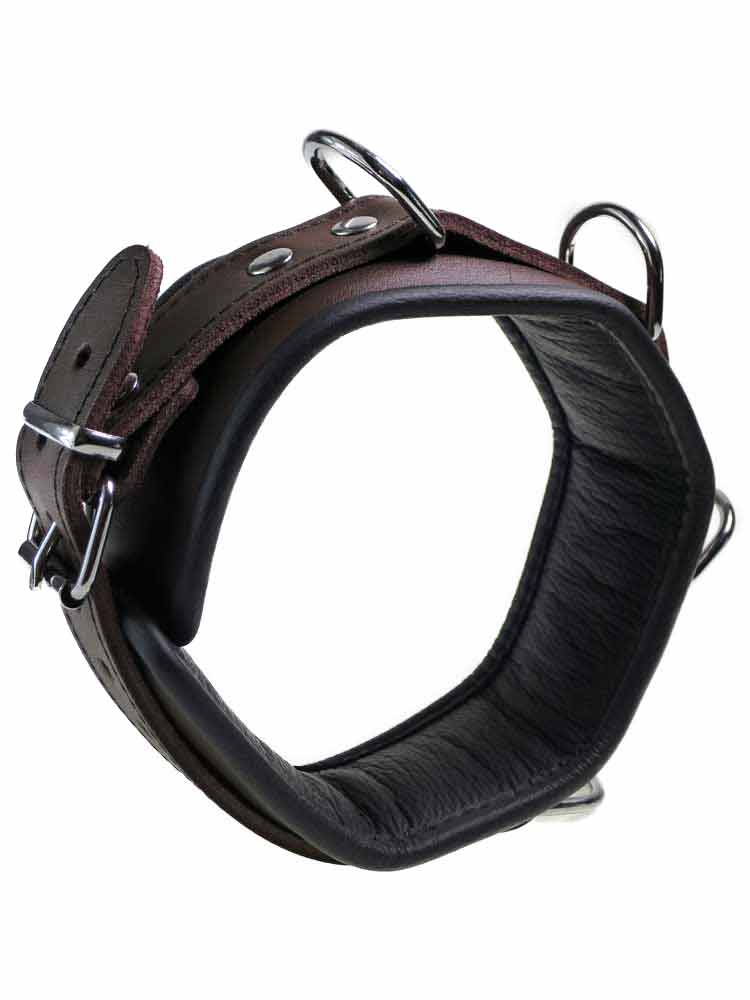 Leder-Halsband gepolstert schwarzbraun - 4 D-Ringe 6cm