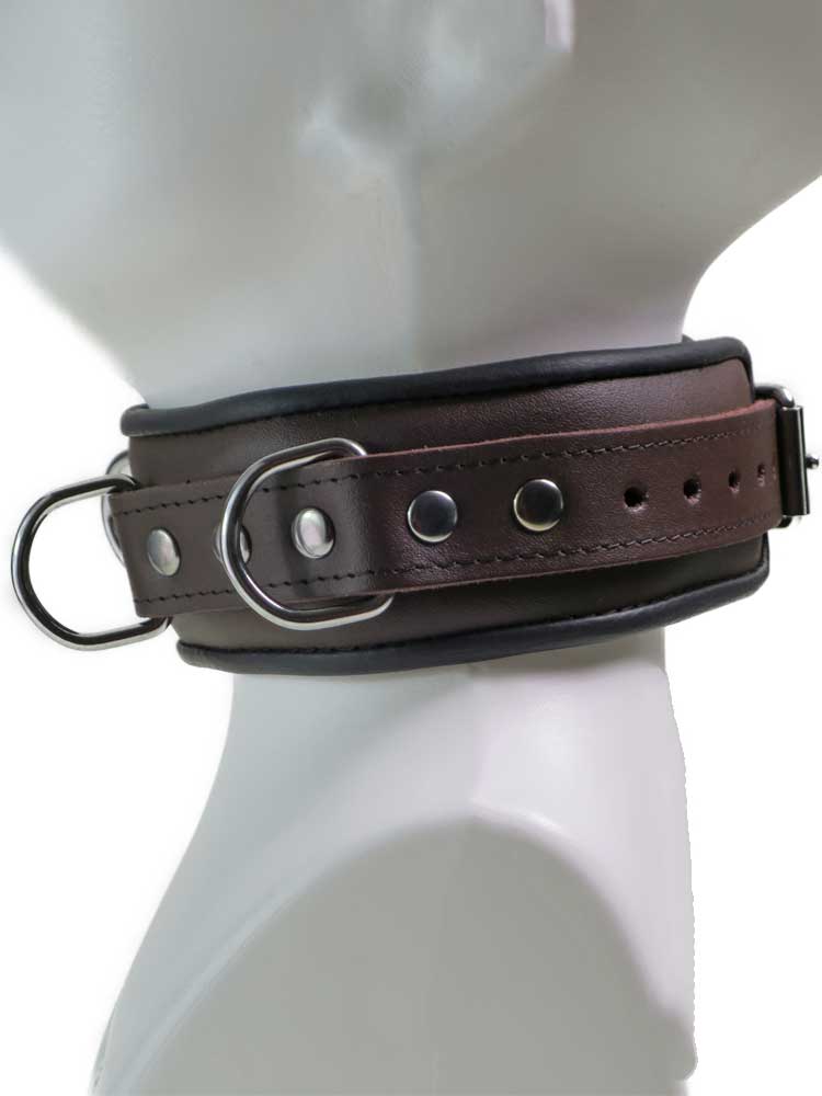Leder-Halsband gepolstert schwarzbraun - 4 D-Ringe 6cm