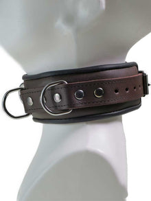 Leder-Halsband gepolstert schwarzbraun - 4 D-Ringe 6cm