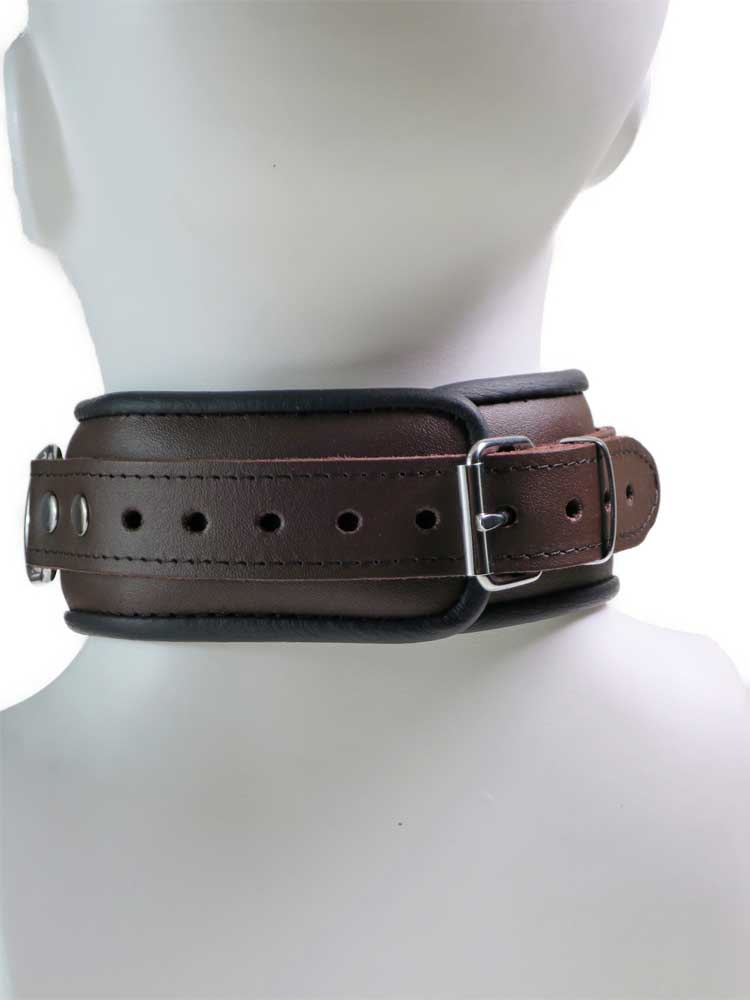 Leder-Halsband gepolstert schwarzbraun - 4 D-Ringe 6cm