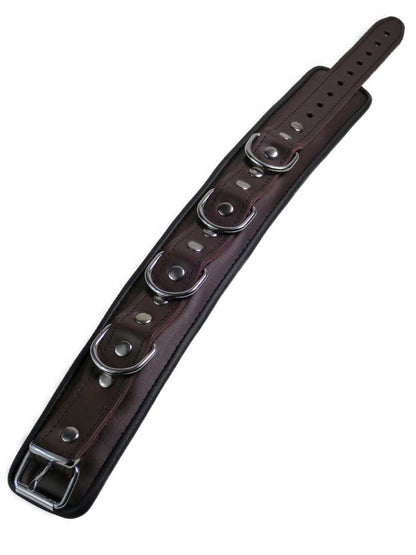 Leder-Halsband gepolstert schwarzbraun - 4 D-Ringe 6cm