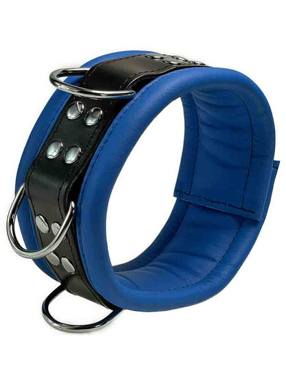 Leder-Halsband gepolstert Blau - 3 D-Ringe - 6,5cm